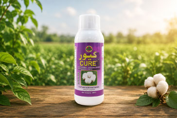 Cure