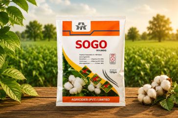 sogo